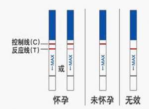 最佳测孕时间是什么时候